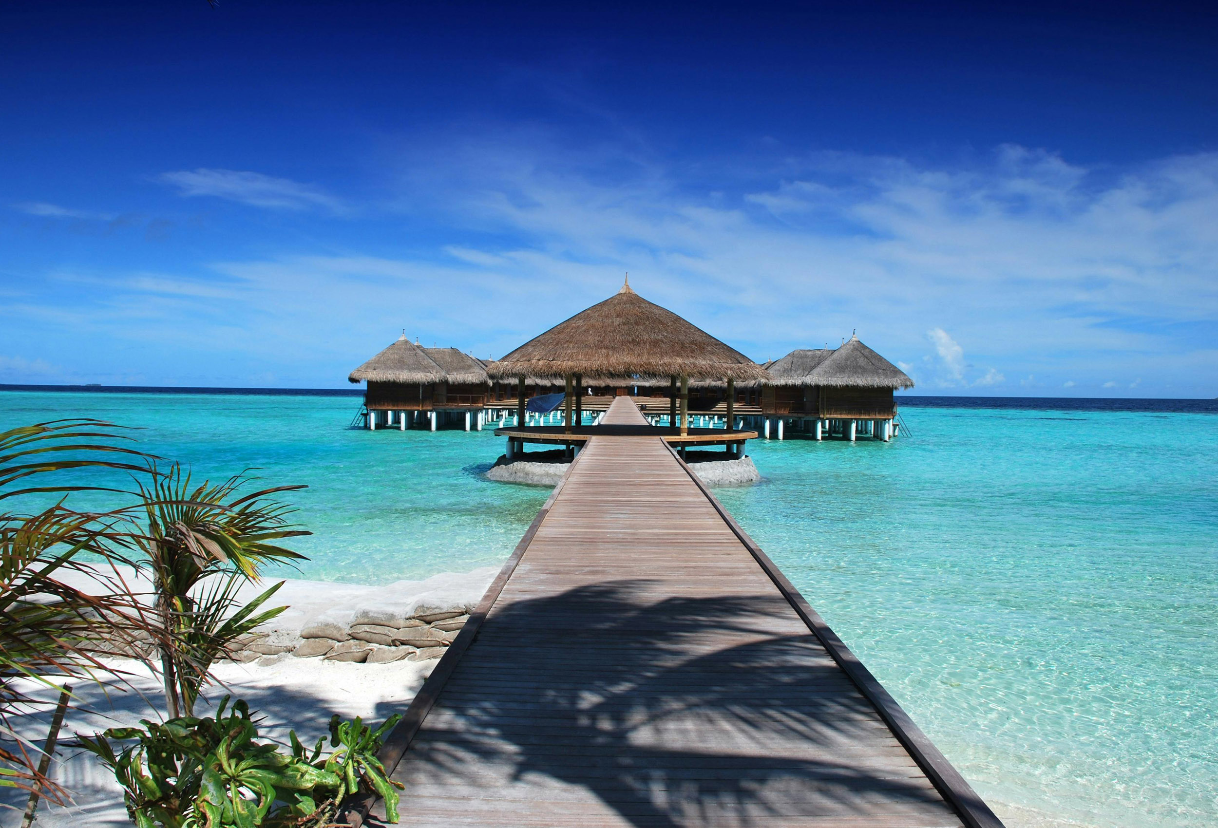 Ontdek de Magie van een Snorkelvakantie
